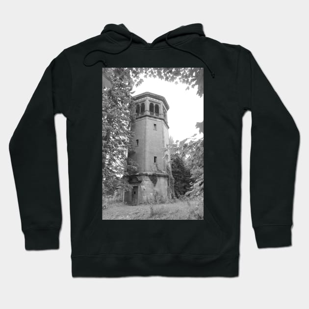 Swannanoa Watch Tower Hoodie by searchlight